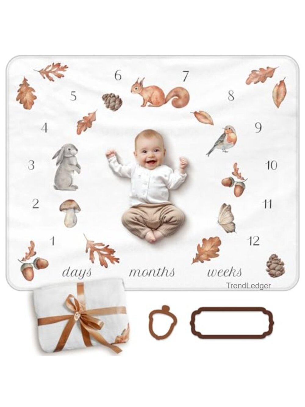 Fleece Baby Milestone Blanket 40x50 Woodland Animals Leaves Photo Prop